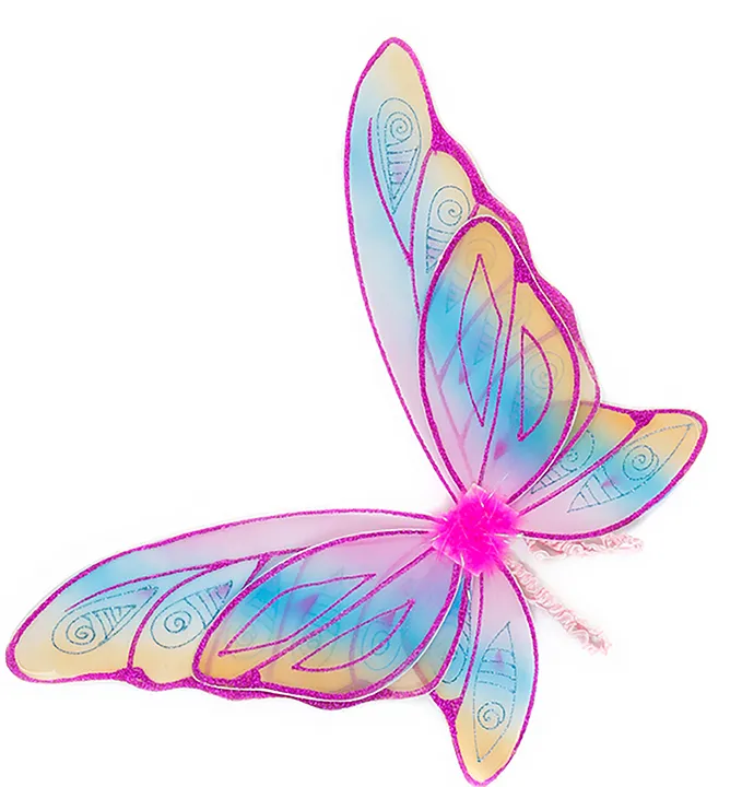 Ailes de Fée multicolores pailletées Roses