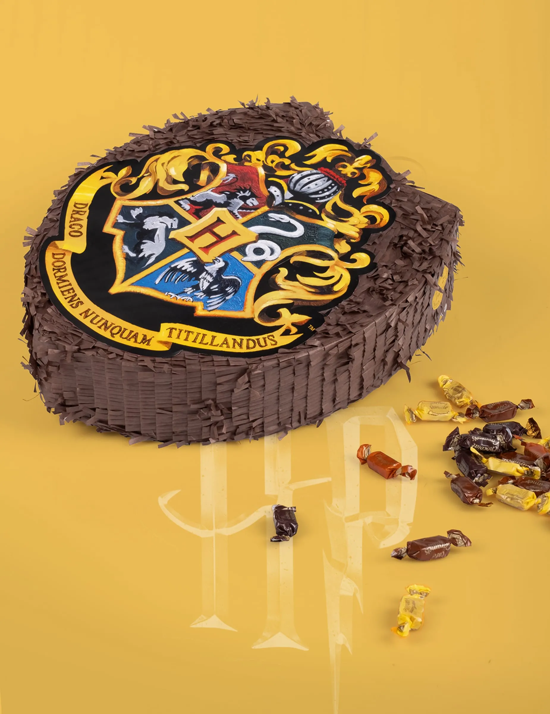 PINATA HARRY POTTER – Image 2
